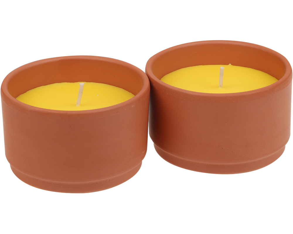 STEINHART Outdoor Kerze Terra 50x80mm 2043220000 gelb 2 Stück