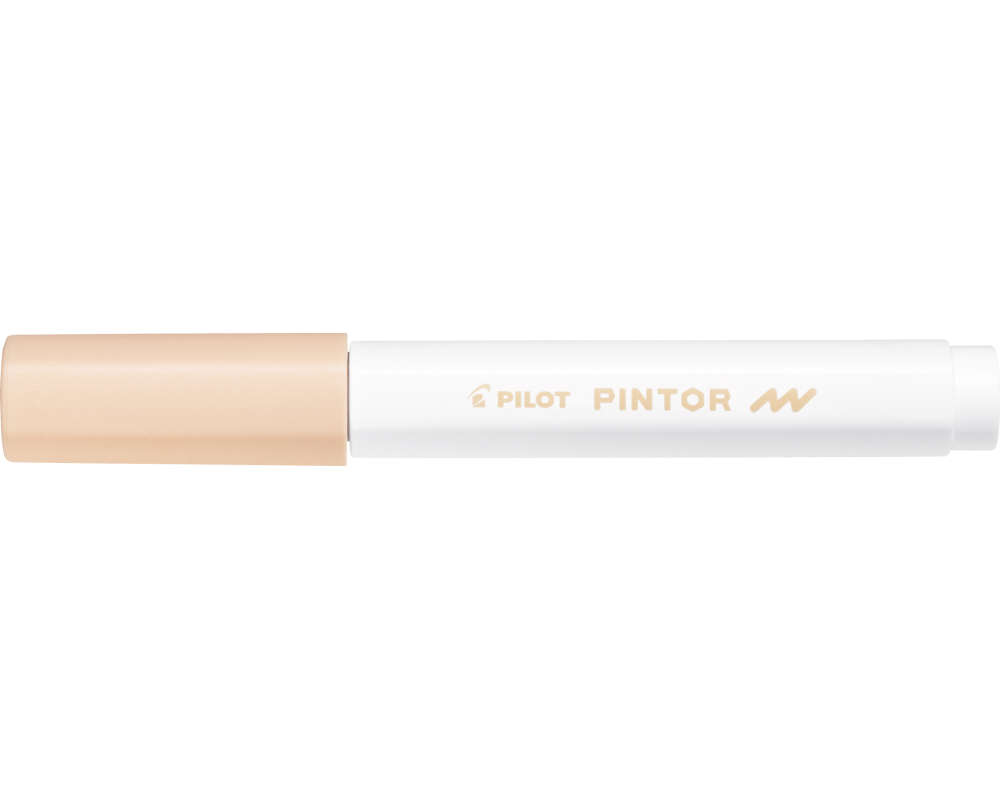 PILOT Marker Pintor F SW-PT-F-PO lachs