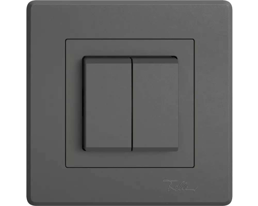 Feller Smart Light Control EDIZIO.liv für Philips Hue, Dark Grey