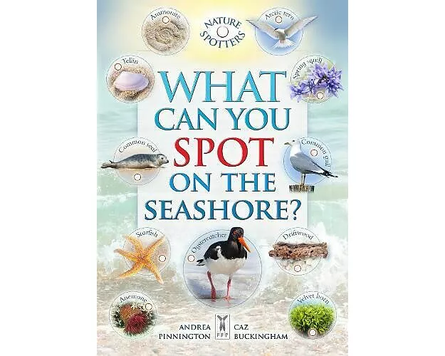 What Can You Spot on the Seashore?