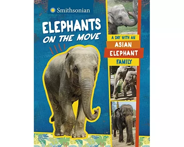 Elephants on the Move