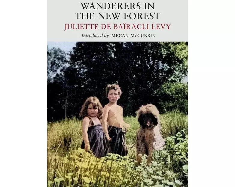 Wanderers in the New Forest