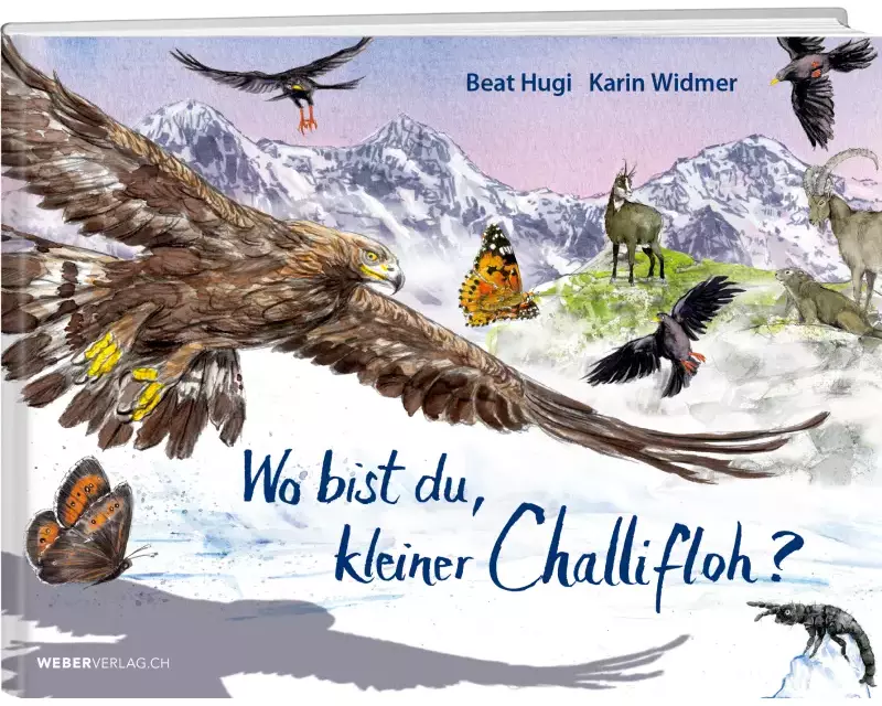 Wo bist du, kleiner Challifloh?