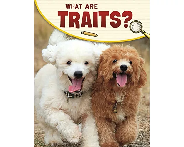 What Are Traits?
