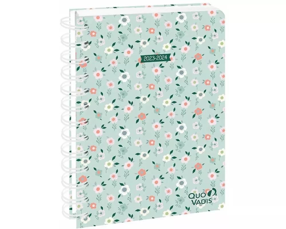 FORUM S DE Daisy grün 2023 / 2024