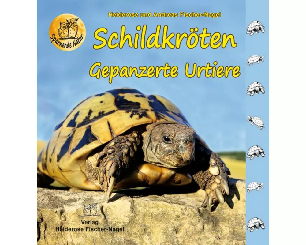 Schildkröten - Gepanzerte Urtiere