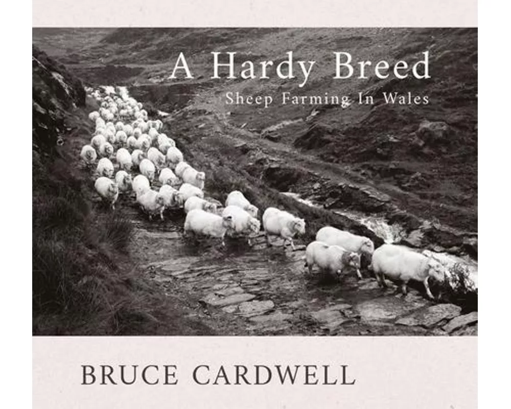 A Hardy Breed