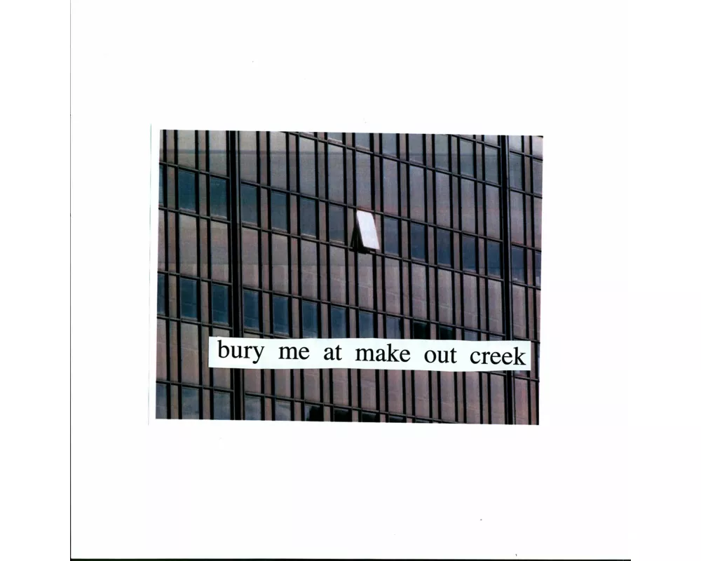 Bury Me At Makeout Creek