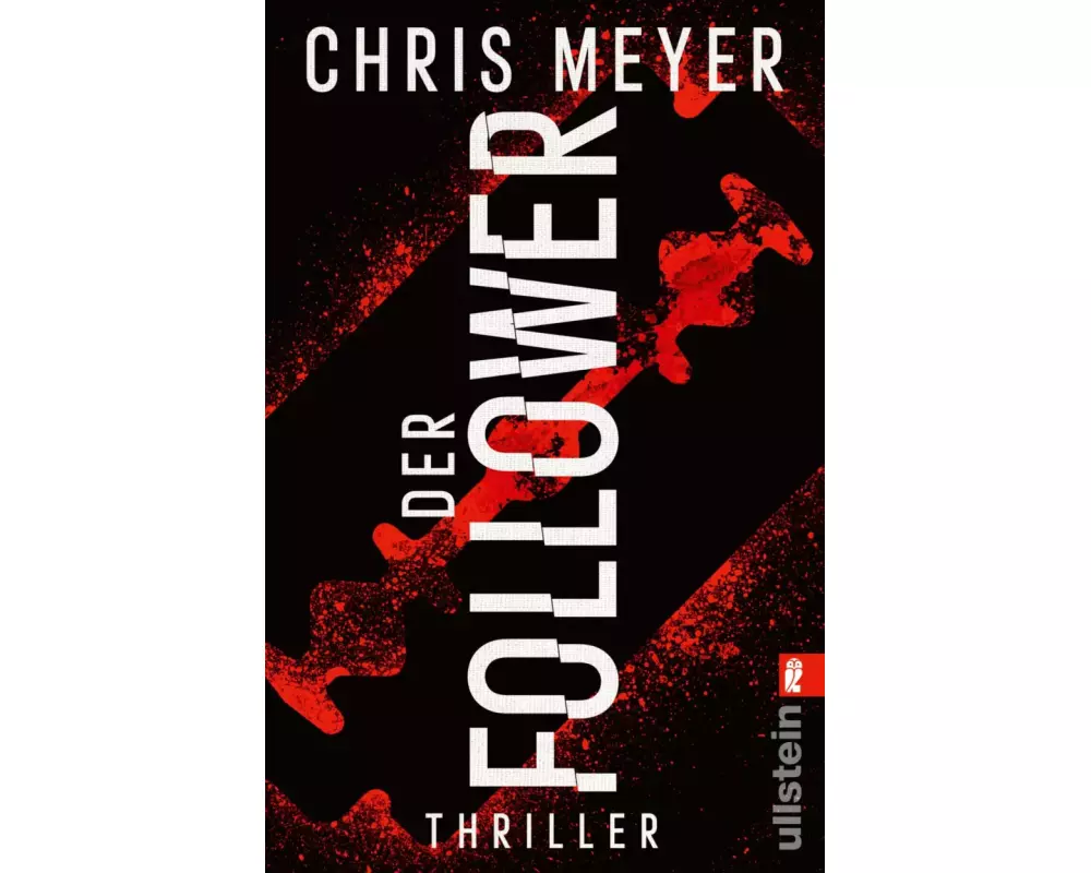 Der Follower (Tom-Bachmann-Serie 3)