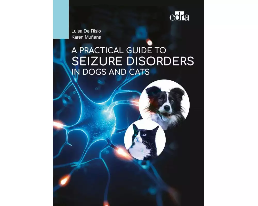 A Practical Guide to Seizure Disorders in Dogs and Cats
