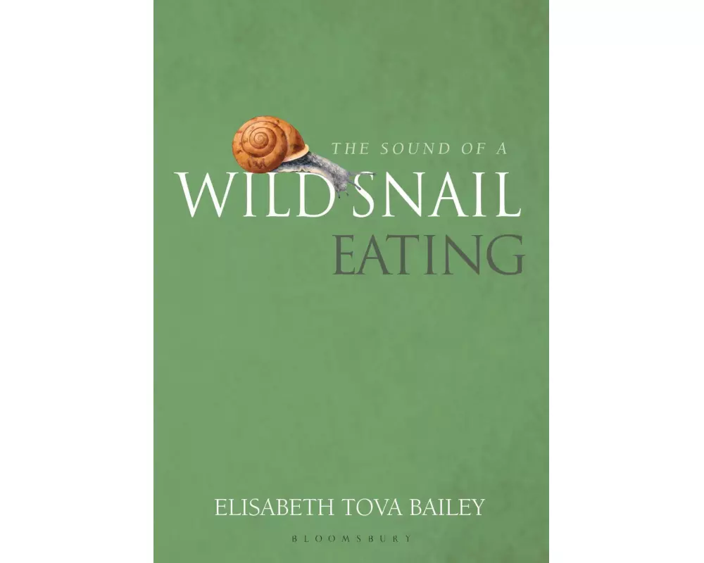The Sound of a Wild Snail Eating