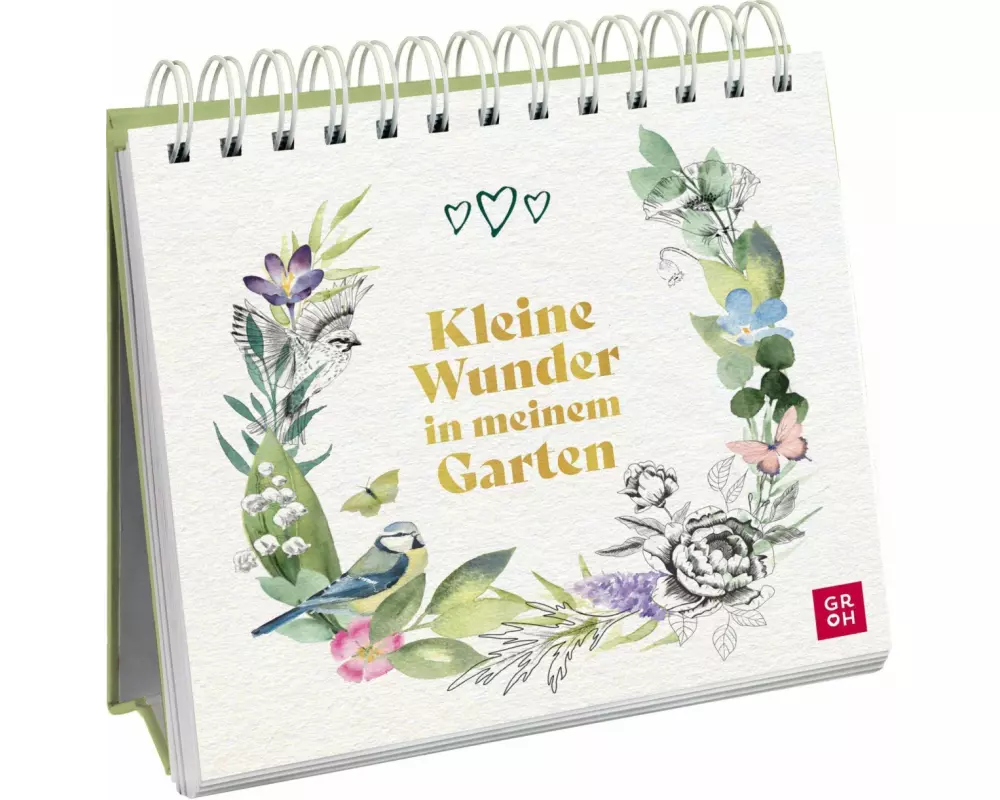 Kleine Wunder in meinem Garten