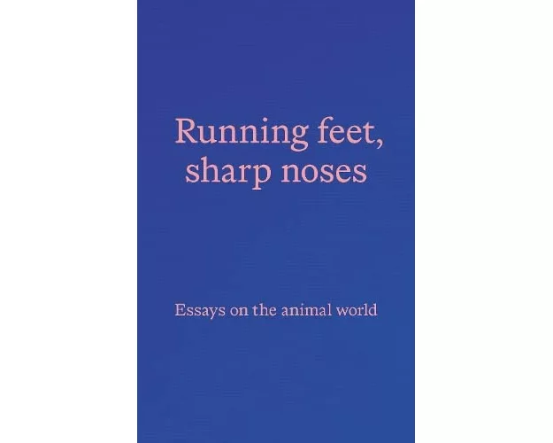 Running feet, sharp noses
