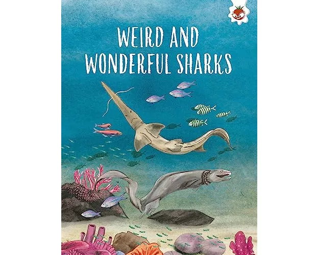 Weird and Wonderful Sharks