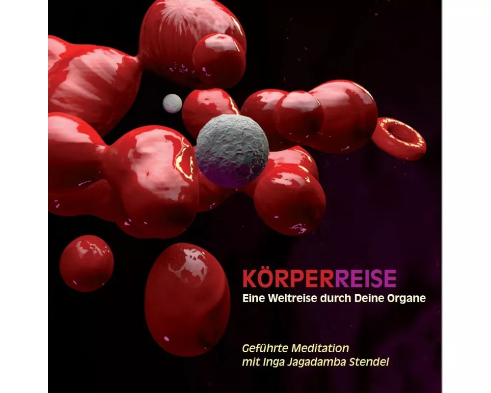 Körperreise - Eine Weltreise durch Deine Organe