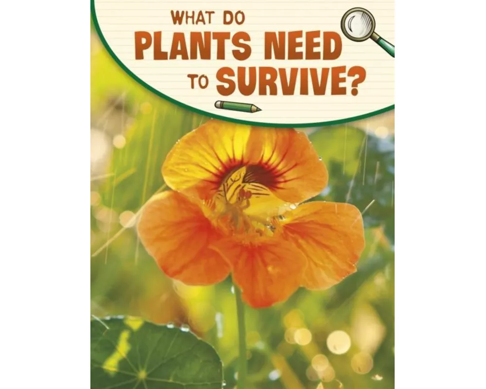 What Do Plants Need to Survive?