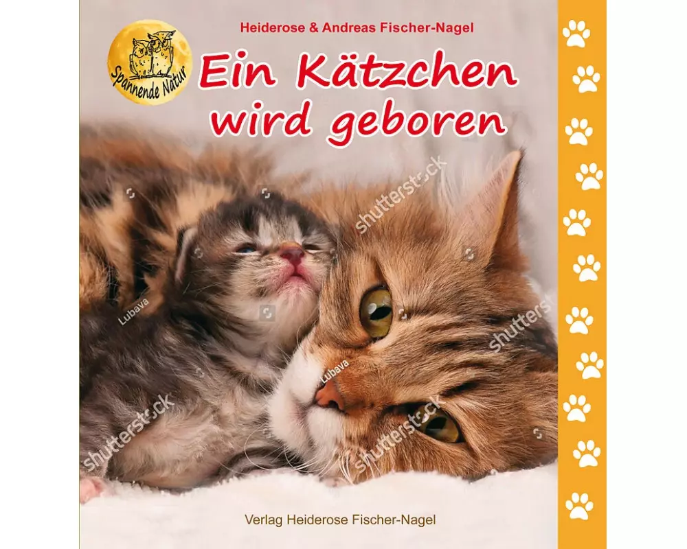 Ein Kätzchen wird geboren