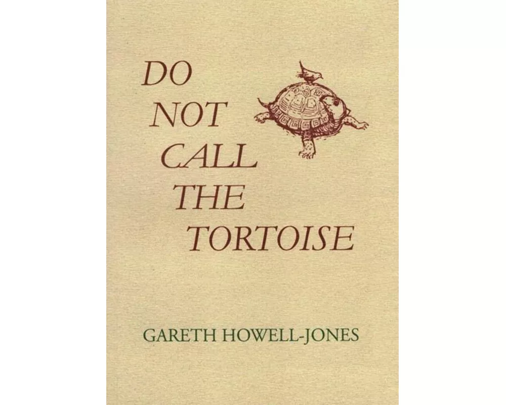 Do Not Call the Tortoise