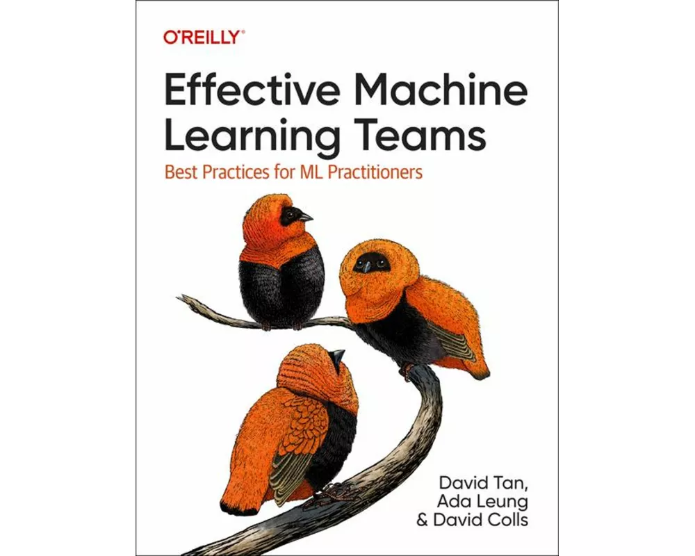 Effective Machine Learning Teams