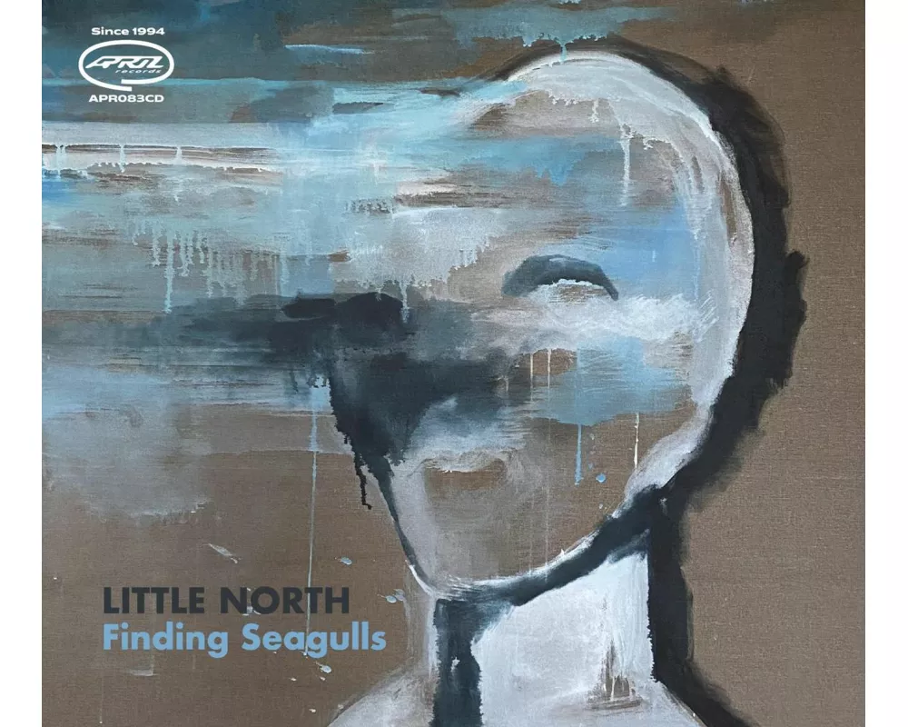 Finding Seagulls