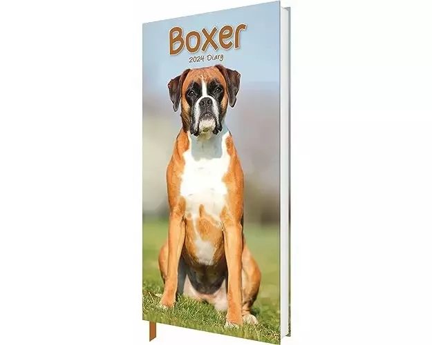 Boxers Slim Diary 2024