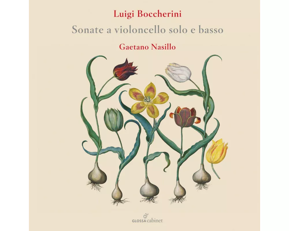 Flute Concertos
