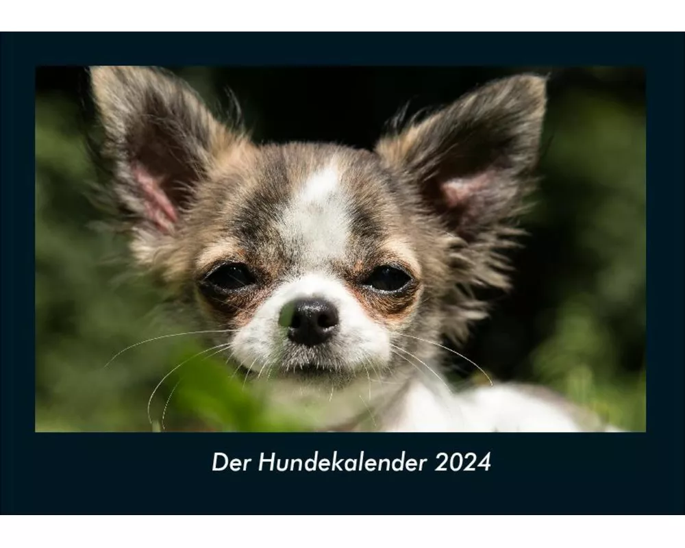 Der Hundekalender 2024 Fotokalender DIN A4