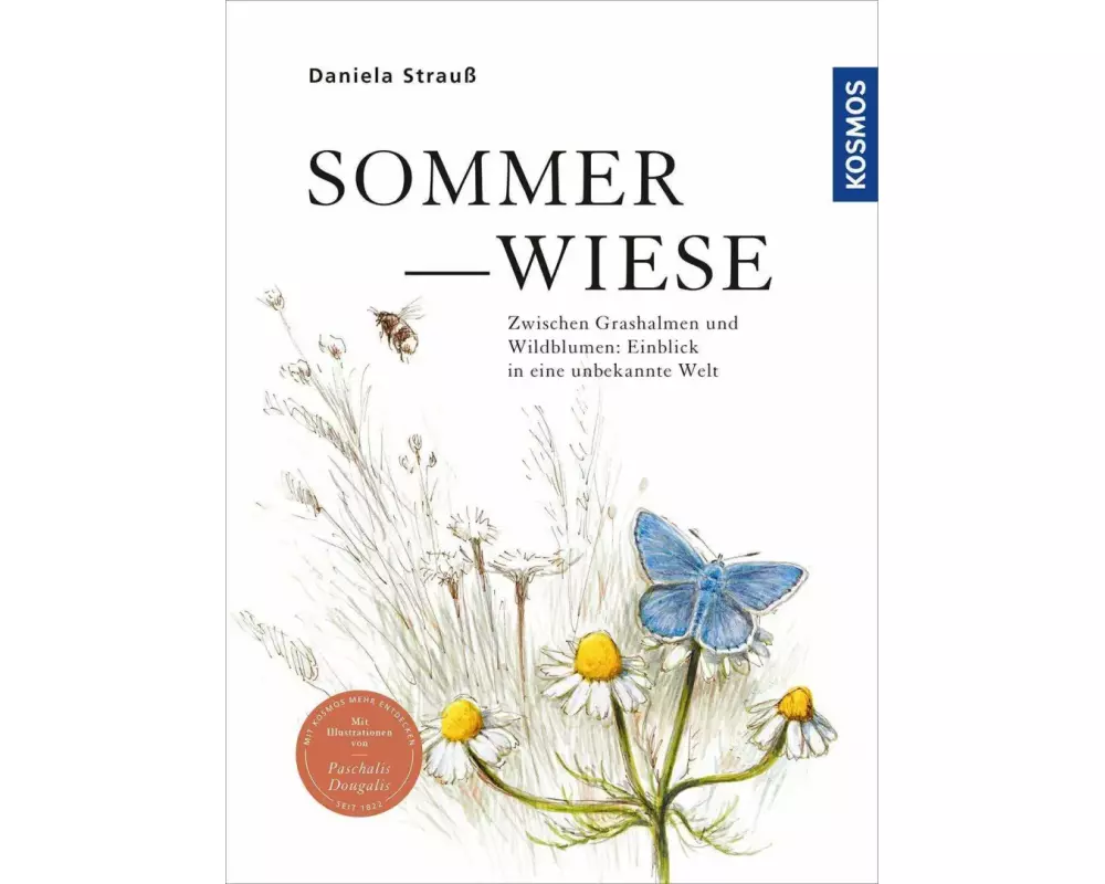 Sommerwiese