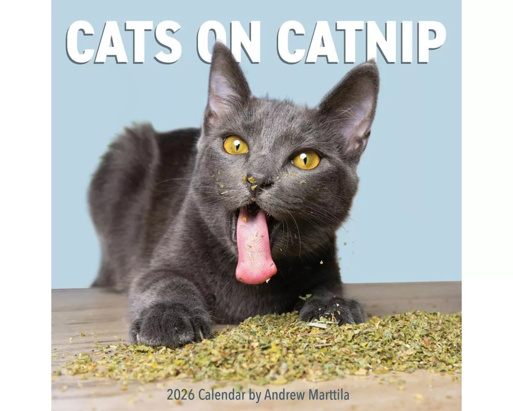 Cats on Catnip Wall Calendar 2026