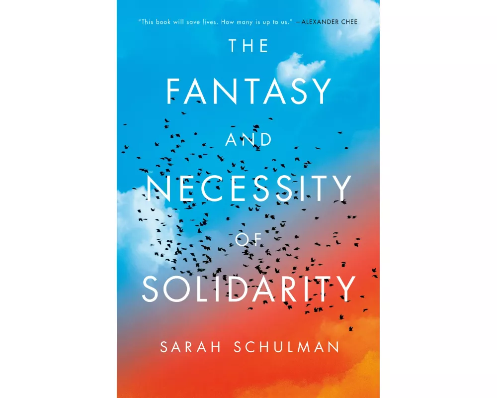 The Fantasy and Necessity of Solidarity