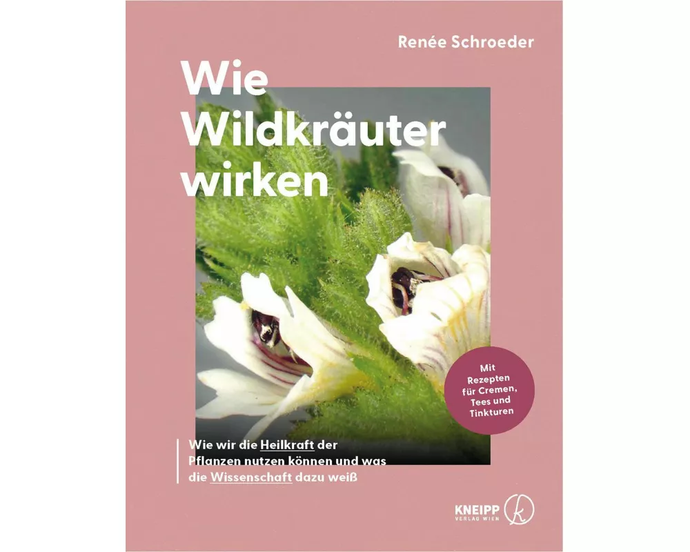 Wie Wildkräuter wirken