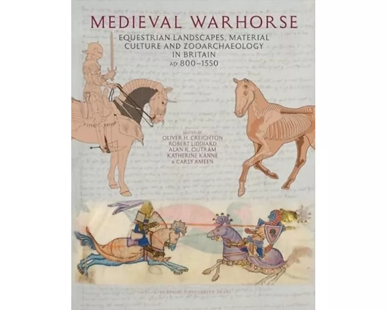 Medieval Warhorse