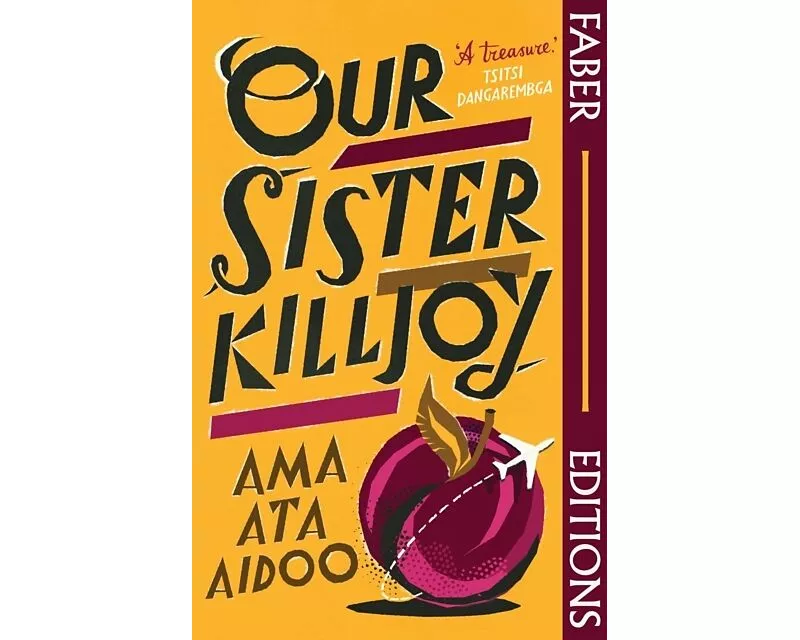 Our Sister Killjoy (Faber Editions)