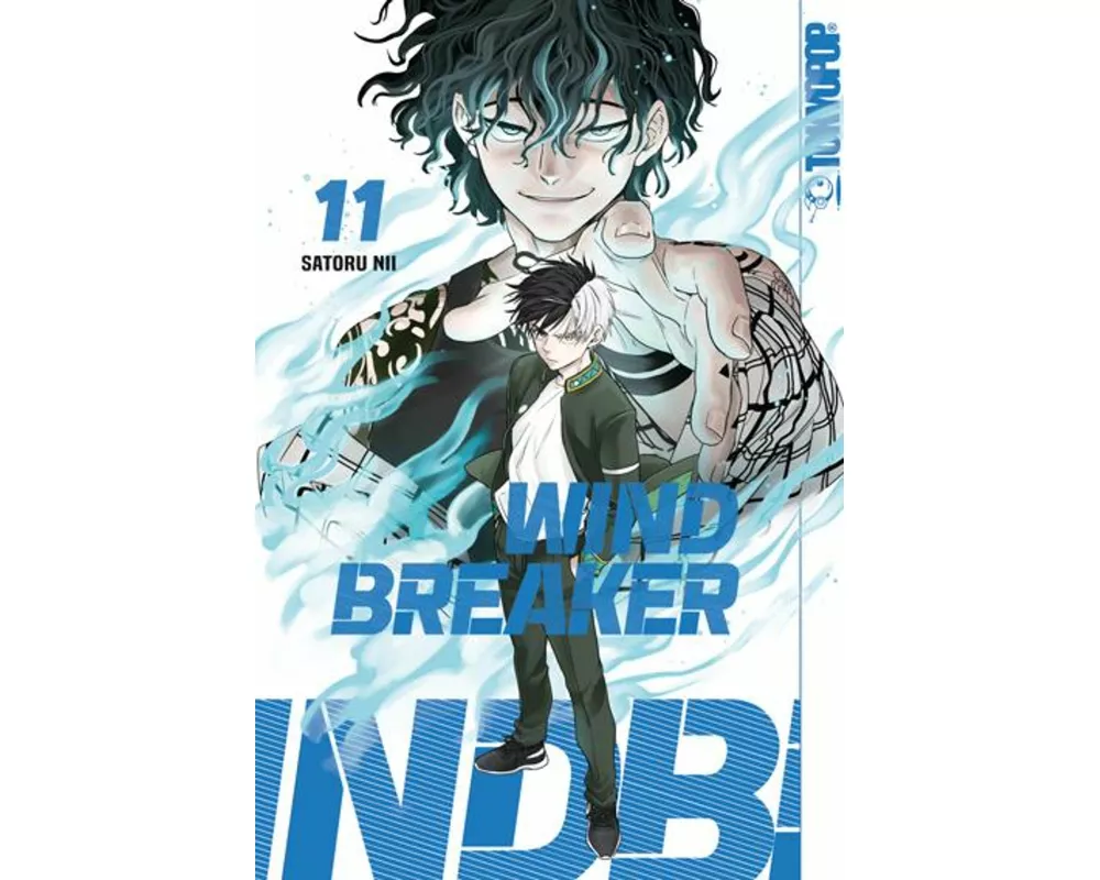 Wind Breaker 11