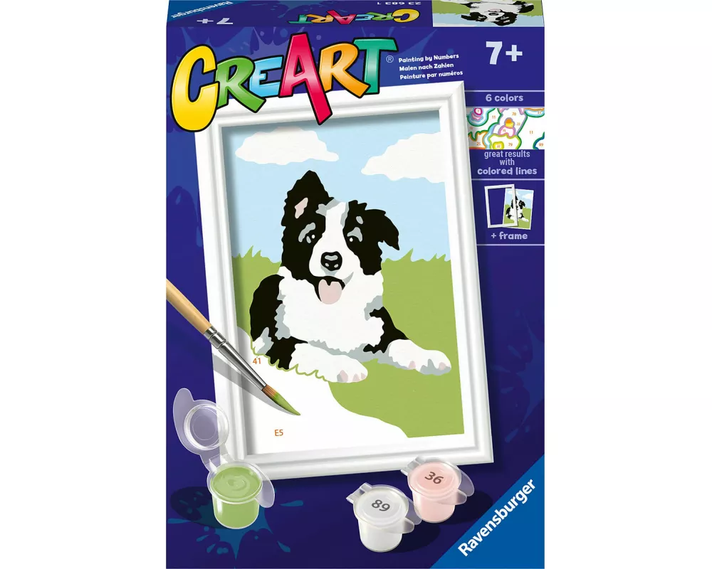 CreArt - Border Collie Welpe