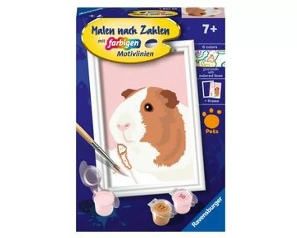 CreArt, Malen nach Zahlen Kinder - Niedliches Meerschweinchen