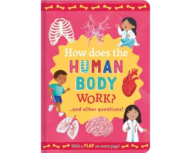 How Does the Human Body Work?