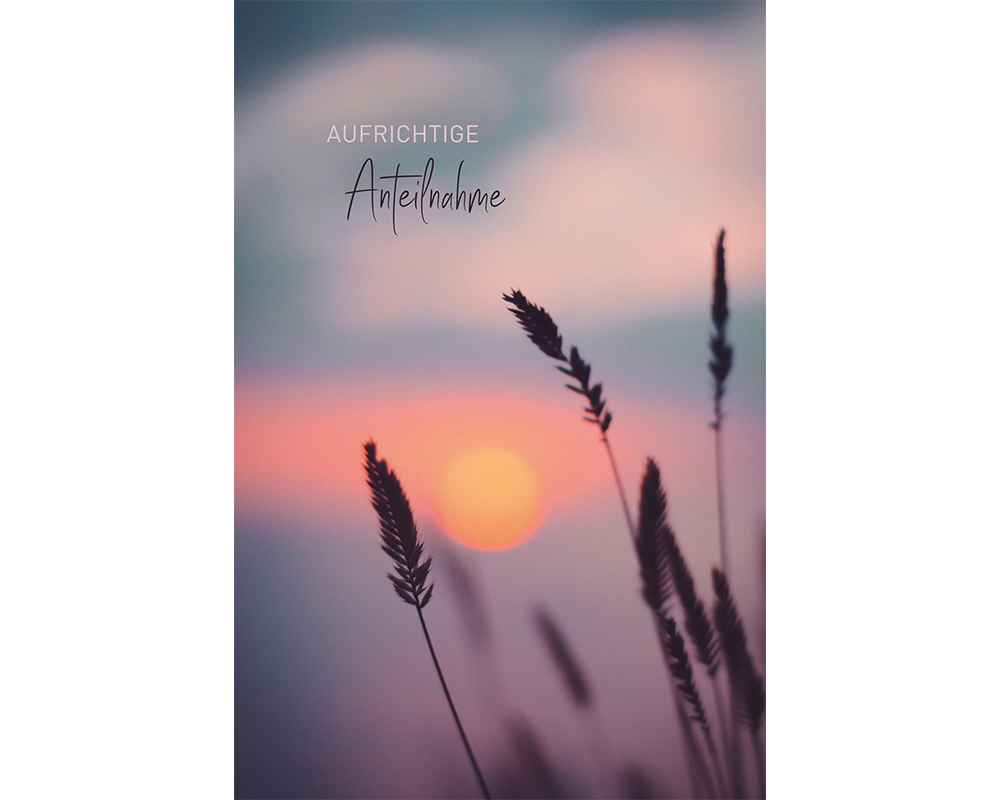 ABC Trauerkarte B6 51967 Schilf