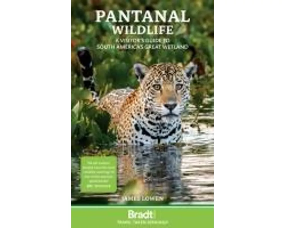 Pantanal Wildlife