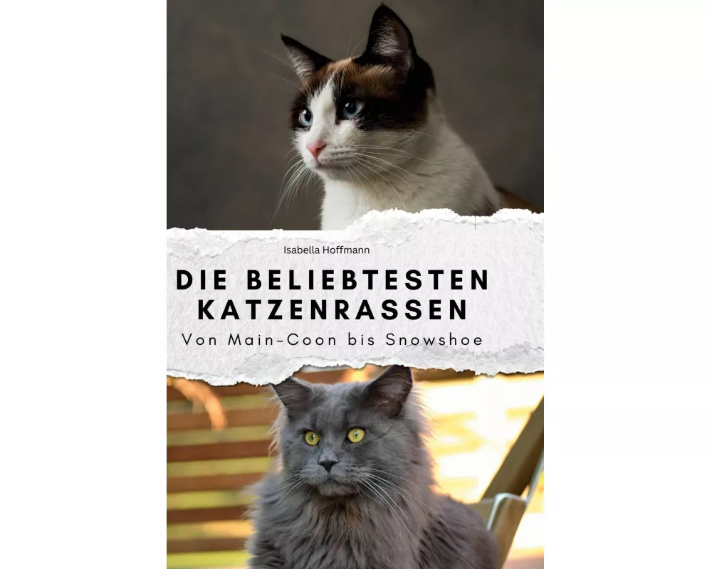 Die beliebtesten Katzenrassen