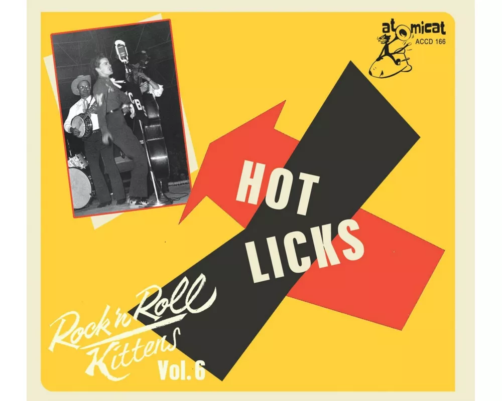 Rock'n'Roll Kittens Vol. 6 - Hot Licks