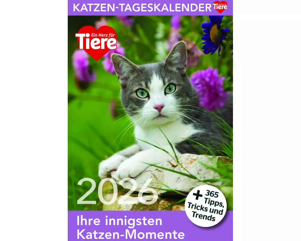 Katzen Tageskalender 2026