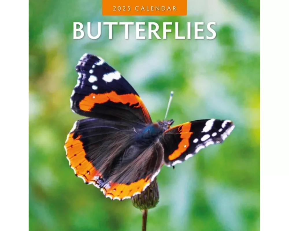 Butterflies 2025 Square Wall Calendar