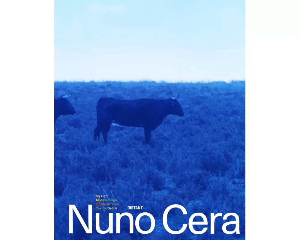 My Light / Minha Luz