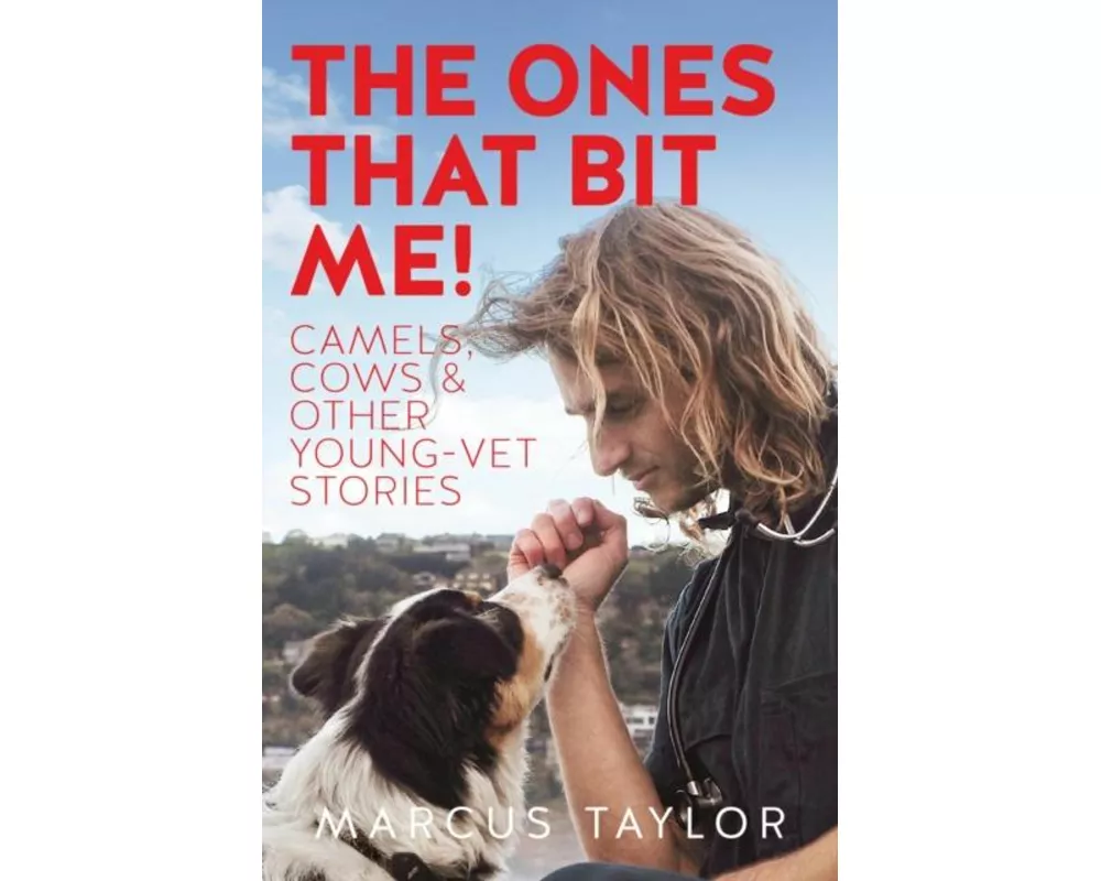 The Ones That Bit Me!