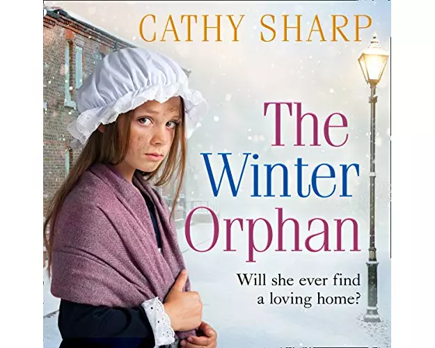 The Winter Orphan