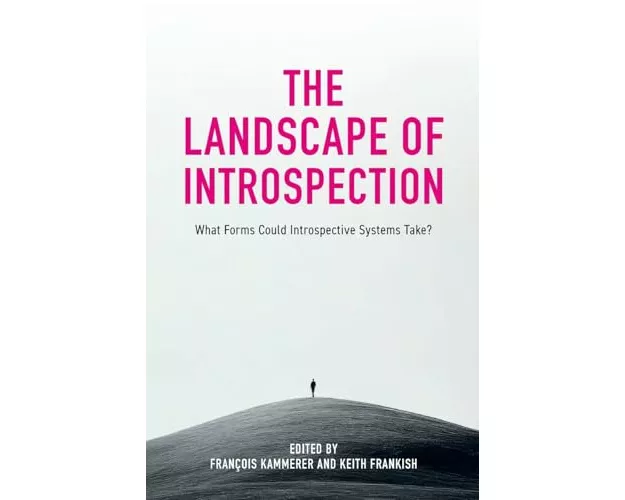 The Landscape of Introspection