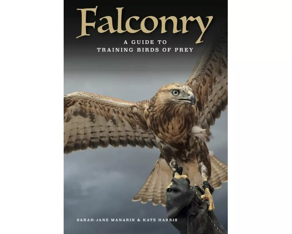 Falconry