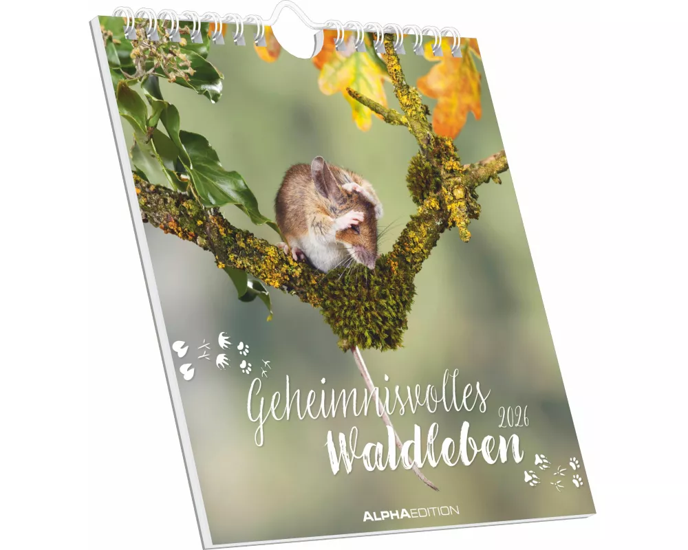 Alpha Edition - Geheimnisvolles Waldleben 2026 – Postkartenkalender 16×17 cm mit 53 Naturmotiven, FSC-zertifiziert, als Tisch- & Wandkalender nutzbar,