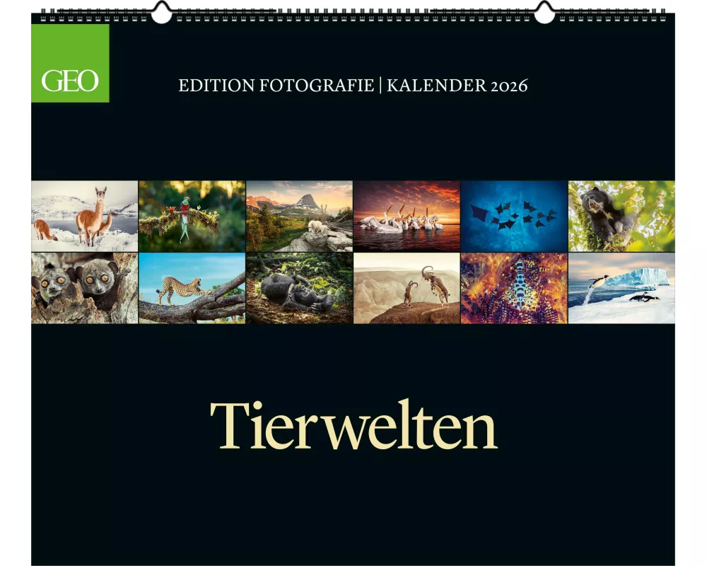 GEO - GEO Edition: Tierwelten 2026 – Wandkalender 70x60 cm, Tier-Poster-Kalender mit Wildlife-Fotografie, 12 Monatsblätter & Spiralbindung inkl. Postk